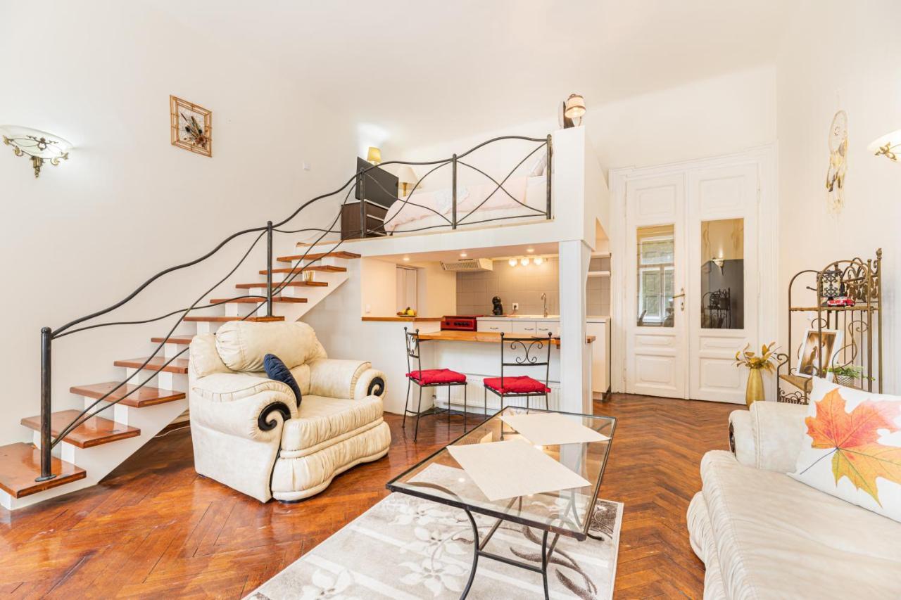 Hera Apartment - Old Town 布拉索夫 外观 照片